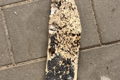 Jubilaeum-2025-Samstag-24