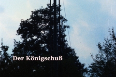 1982 Junggesellen Schützenfest (110)