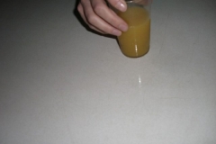 Sommerfest JSV (109)_JPG