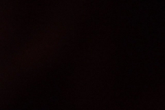 Sommerfest JSV (122)_JPG