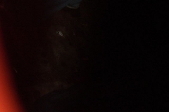 Sommerfest JSV (161)_JPG