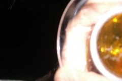 Sommerfest JSV (33)_jpg