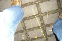 Sommerfest JSV (76)_JPG